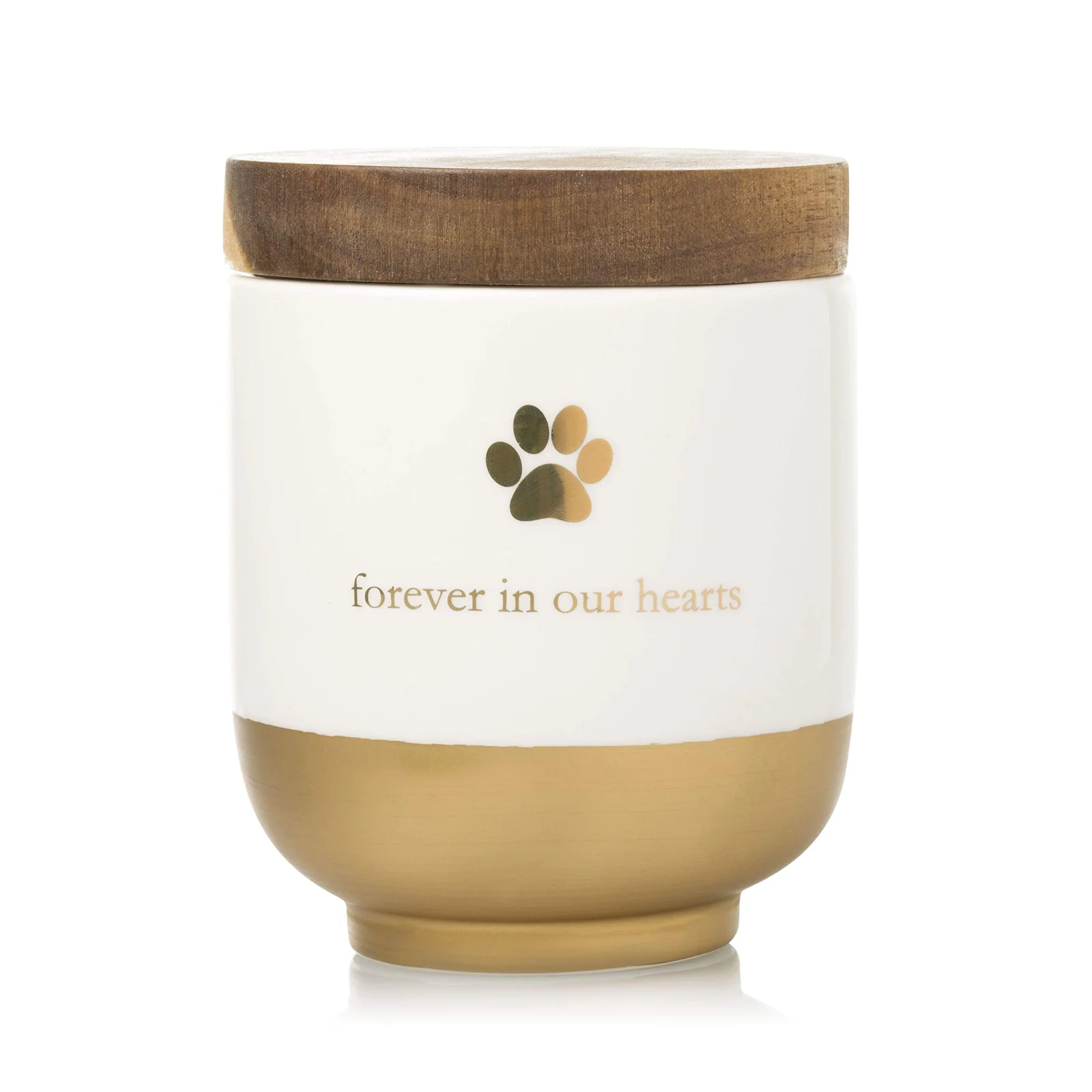 Forever in Our Hearts Ceramic Pet Ashes Urn